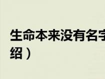 生命本来没有名字手法（生命本来没有名字介绍）