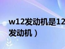 w12发动机是12缸一起工作吗（w12是几缸发动机）