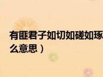 有匪君子如切如磋如琢如磨什么意思（如切如磋如琢如磨什么意思）