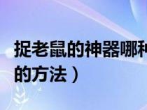 捉老鼠的神器哪种最好（捉老鼠最有效又简单的方法）