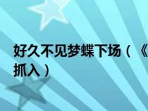 好久不见梦蝶下场（《好久不见》电视剧中梦蝶在第几集被抓入）