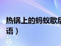 热锅上的蚂蚁歇后语谐音（热锅上的蚂蚁歇后语）