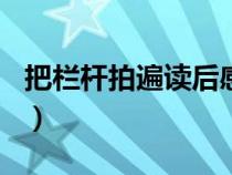 把栏杆拍遍读后感600字（把栏杆拍遍读后感）