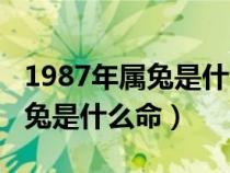 1987年属兔是什么命五行属什么（1987年属兔是什么命）