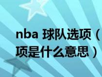 nba 球队选项（nba中的球员选项和球队选项是什么意思）