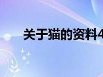 关于猫的资料400字（关于猫的资料）