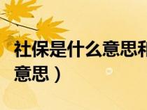 社保是什么意思和养老保险区别（社保是什么意思）