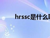 hrssc是什么职位（hr是什么职位）