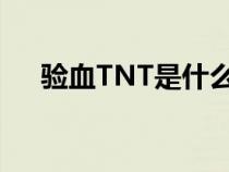 验血TNT是什么意思（tnt是什么意思）