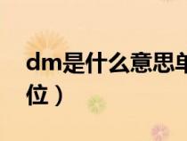 dm是什么意思单位名称（dm是什么意思单位）