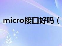 micro接口好吗（micro接口是什么样子的）