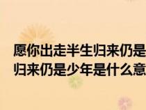 愿你出走半生归来仍是少年是什么意思出自（愿你出走半生归来仍是少年是什么意思）