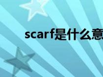 scarf是什么意思（coat是什么意思）