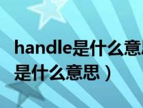 handle是什么意思中文翻译成汉语（Handle是什么意思）