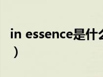 in essence是什么意思（essence是什么意思）