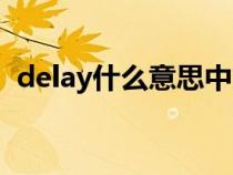 delay什么意思中文翻译（delay什么意思）