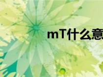 mT什么意思（mt什么意思）