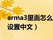 arma3里面怎么设置中文（arma3正版怎么设置中文）