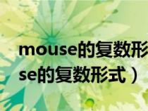 mouse的复数形式怎么写是什么意思（mouse的复数形式）