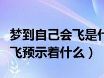 梦到自己会飞是什么意思是什么（梦到自己会飞预示着什么）