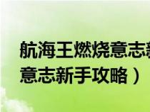 航海王燃烧意志新手攻略2020（航海王燃烧意志新手攻略）