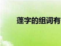 蓬字的组词有什么（汉字蓬组词语）