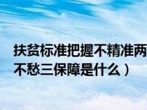 扶贫标准把握不精准两不愁三保障落实不到位（精准扶贫两不愁三保障是什么）