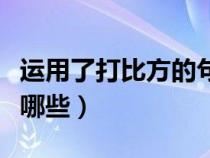 运用了打比方的句子有哪些（打比方的句子有哪些）