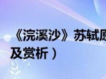 《浣溪沙》苏轼原文及翻译（浣溪沙苏轼原文及赏析）