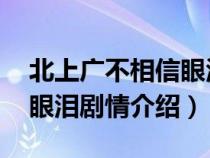 北上广不相信眼泪 剧情介绍（北上广不相信眼泪剧情介绍）