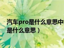 汽车pro是什么意思中文意思（汽车上的AUTOHOLD中文是什么意思）