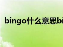 bingo什么意思bingo（binggo什么意思）