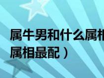 属牛男和什么属相最配、相克（属牛男和什么属相最配）