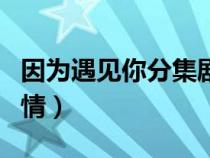 因为遇见你分集剧情简介（因为遇见你分集剧情）