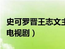 史可罗晋王志文主演的电视剧（王志文主演的电视剧）