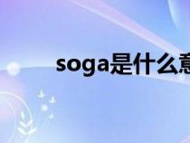 soga是什么意思（soga是什么梗）