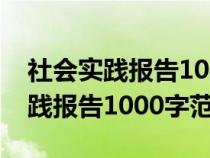 社会实践报告1000字范文打扫卫生（社会实践报告1000字范文）