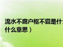 流水不腐户枢不蠹是什么意思 知识要（流水不腐户枢不蠹是什么意思）