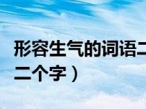 形容生气的词语二个字成语（形容生气的词语二个字）