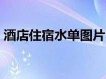 酒店住宿水单图片（住宿水单是什么意思啊）