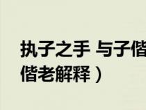 执子之手 与子偕老真正含义（执子之手与子偕老解释）