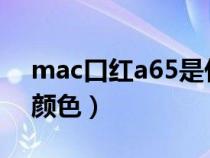 mac口红a65是什么颜色（MAC646是什么颜色）