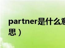 partner是什么意思中文（Partner是什么意思）