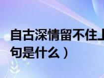 自古深情留不住上一句（自古深情留不住的下句是什么）