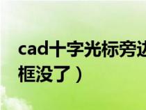 cad十字光标旁边不显示命令（cad命令输入框没了）