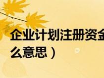 企业计划注册资金是什么意思（注册资金是什么意思）