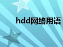 hdd网络用语（HDD是什么流行语）