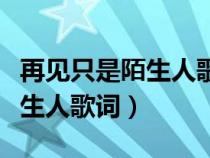 再见只是陌生人歌词是哪首歌的（再见只是陌生人歌词）