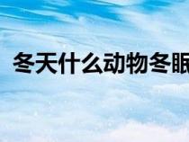 冬天什么动物冬眠?（冬天有什么动物冬眠）