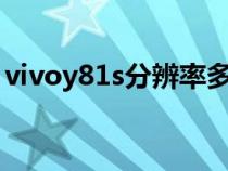 vivoy81s分辨率多少（vivoy81分辨率多少）